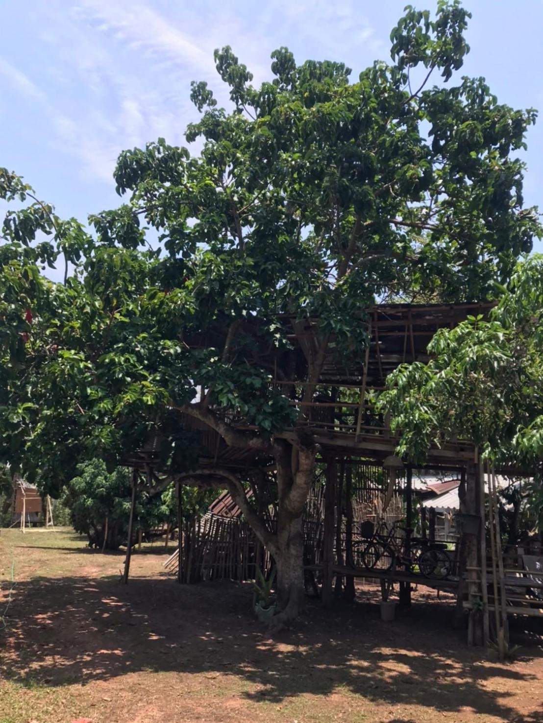 Amando_Tent Hotel Phayao Exterior foto